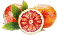 soave deco  summer fruit citrus  orange green red - Free PNG