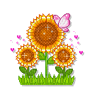 SunFlowers - 無料のアニメーション GIF