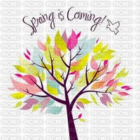 Spring is coming - png gratis
