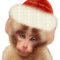 Kaz_Creations Monkey - PNG gratuit