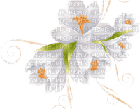Crocus Flower - png ฟรี