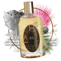 Perfume - Bogusia - nemokama png