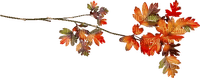 deco autumn automne leaves feuilles - png gratuito