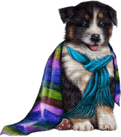 Puppy - zdarma png