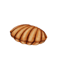 shell anastasia - GIF animate gratis