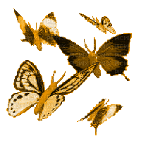 butterfly animated changed colour
