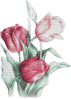 soave deco flowers spring tulips pink green - PNG gratuit