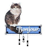 Blinkie BONJOUR - Bezmaksas animēts GIF