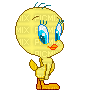 Tweety bird love - GIF animasi gratis