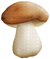 Pilz, Herbst, mushroom - PNG gratuit