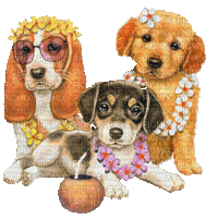 Perros  de playa - Bezmaksas animēts GIF