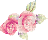 More flowers - zadarmo png