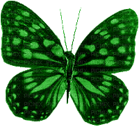 butterfly papillon schmetterling - GIF animé gratuit