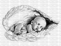 angel baby wrapped in angel wings - фрее пнг