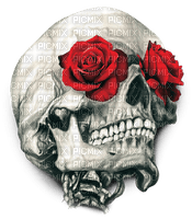 Y.A.M._Gothic skull - PNG gratuit