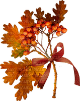 automne feuilles deco autumn leaves - PNG gratuit