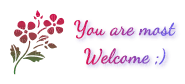 Kaz_Creations Text You are Most Welcome - png gratis