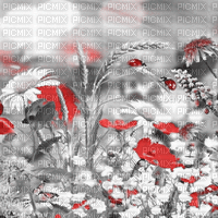 soave background animated  flowers field - Бесплатни анимирани ГИФ
