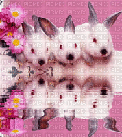 lapins - Gratis geanimeerde GIF
