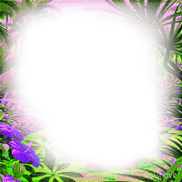 soave frame summer tropical flowers green purple - 免费PNG
