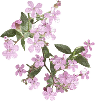 Fleur.flowers.pink.deco.Victoriabea - PNG gratuit