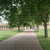 Park Background - Free PNG