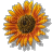Fleur orange - Δωρεάν κινούμενο GIF