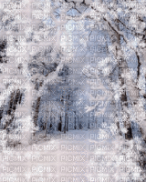 winter background - GIF animé gratuit