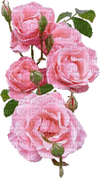 fleur_flower_fleurs-gif-animation-tube-rose-decoration-image__Blue DREAM 70 - GIF animado gratis