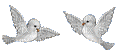 gif oiseau - Nemokamas animacinis gif