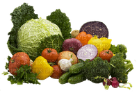 vegetables bp - ilmainen png