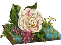 rose on book Joyful226 - PNG gratuit