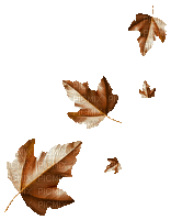 Autumn Leaves - GIF animado gratis
