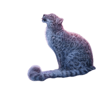 snow leopard - PNG gratuit