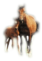 tube cheval - 免费PNG