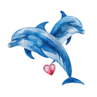 dauphins - фрее пнг