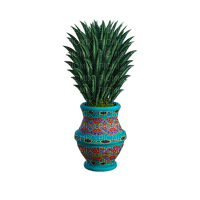 tropical, plant, kasvi, trooppinen, sisustus, decor, ruukku, vase - Free PNG