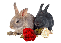 rabbits by nataliplus - png gratuito