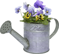 Gießkanne mit Blumen - kostenlos png