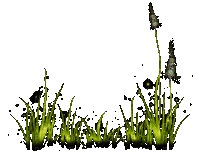 Трава - Zdarma animovaný GIF