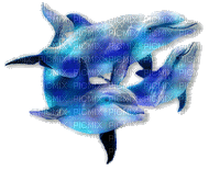 dolphins bp - GIF animate gratis