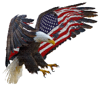 EAGLE w Flag Wings BEST *********** - Free animated GIF