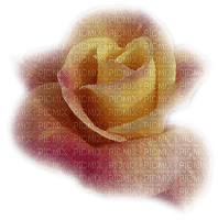 Róża tube2 - nemokama png