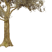 arbre - 免费动画 GIF