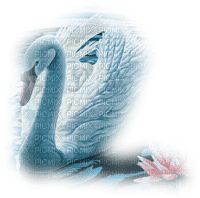 swans bp - δωρεάν png