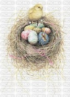 Marjolein Bastin birds  nest - PNG gratuit