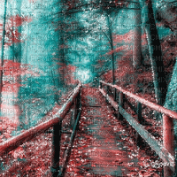 soave background animated autumn forest - Besplatni animirani GIF