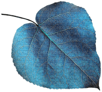 blue leaf Bb2 - png ฟรี