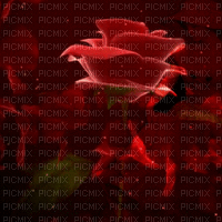vörös rózsa - GIF animate gratis
