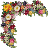 image encre couleur mariage anniversaire printemps fleurs coin edited by me - 免费PNG